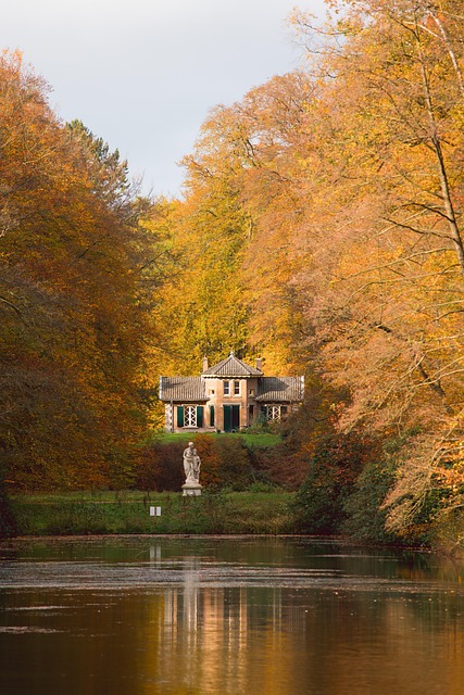 Herbst, Natur, Wald, November