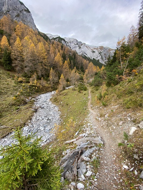 Caminho, Natureza, Montanha, Caminhada
