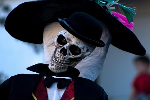 Free Skull Skeleton photo and picture