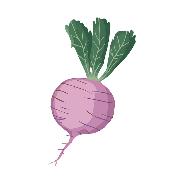 Free ai generated turnip root crop illustration
