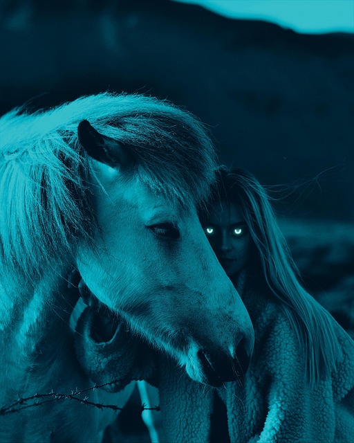 Pferd, Natur, Tier, Pferde, Säugetier