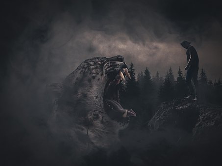 Tiger, Natur, Tier, Tierwelt, Raubtier