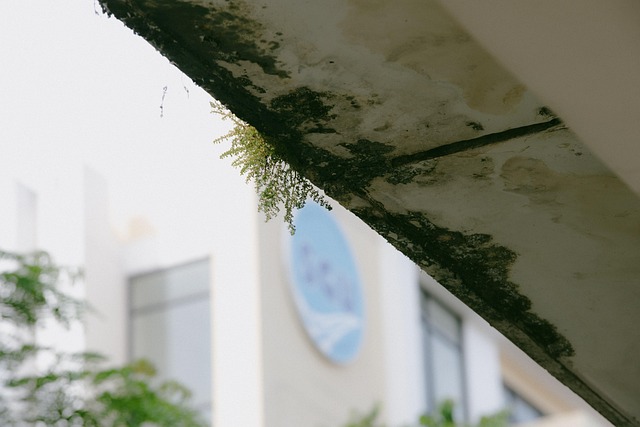 Sgu, Vietnam, Oud, Saigon, Universiteit