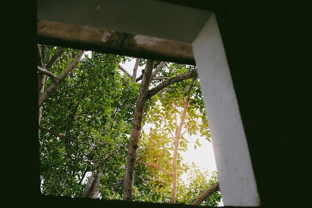 Sgu, Vietnam, Oud, Saigon, Universiteit