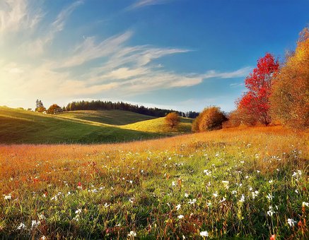 Free Ai Generated Meadow illustration and picture