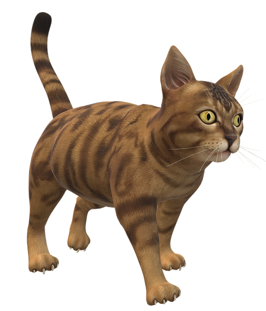 Download free HD stock image of Cat Cartoon Free cat cartoon animal illustration