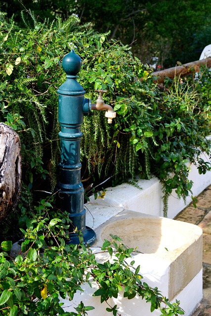 Wasser, Brunnen, Garten, Architektur