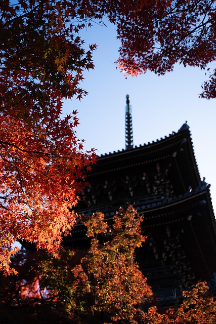 Japanwedstrijd, Japan, Traditioneel