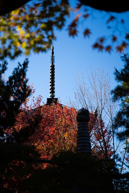 Japanwedstrijd, Cultuur, Traditioneel
