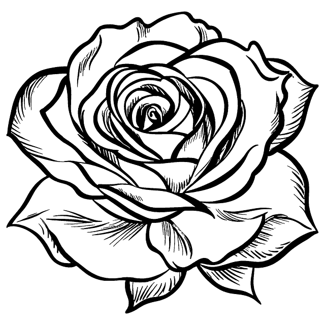 Free Ai Generated Rose illustration and picture