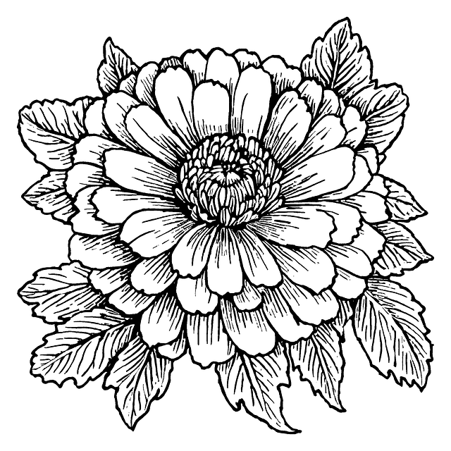 Free Ai Generated Dahlia illustration and picture