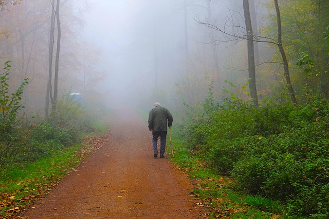 Lonliness Silence Fall - Free photo on Pixabay