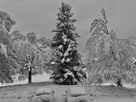 Free Winter Nature photo and picture