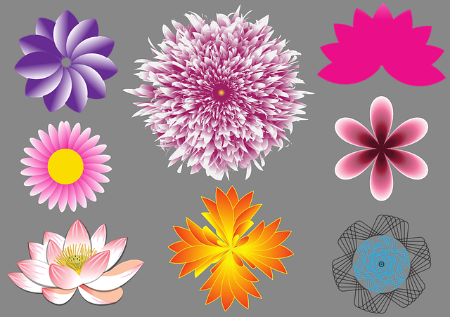 Flores, Natureza, Bloom, Florescer