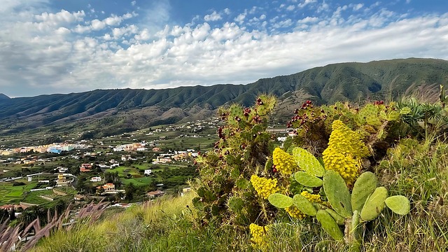 Free Mountains Nature photo and picture
