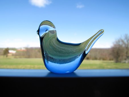 Free Bird Blue photo and picture