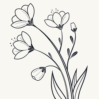 Free Flowers Nature vector and picture