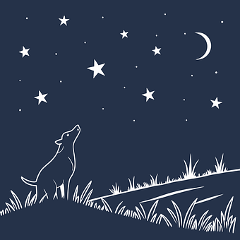 Free Night Dog vector and picture