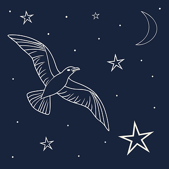 Free Night Stars vector and picture