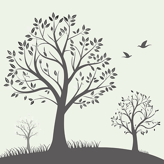 Free Tree Nature vector and picture