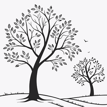 Free Trees Nature vector and picture