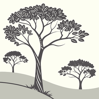 Free Trees Nature vector and picture