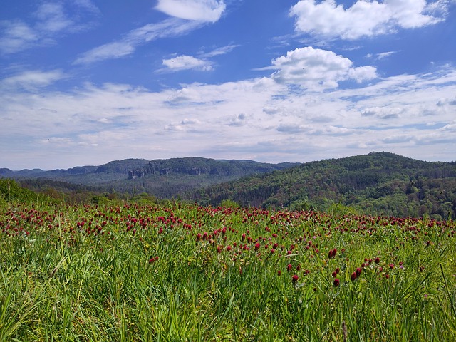 Lúka, Elbsandsteingebirge, Ďatelina