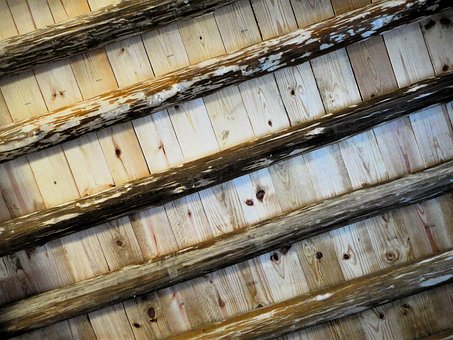 Free Logs Wood photo and picture