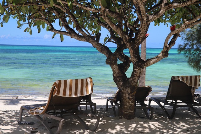 Free Zanzibar Vacations photo and picture