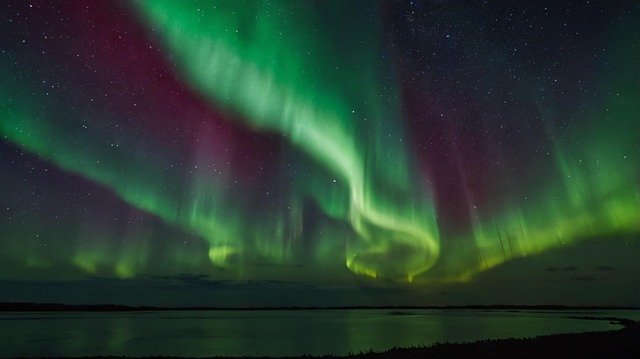 Free ai generated aurora borealis night illustration