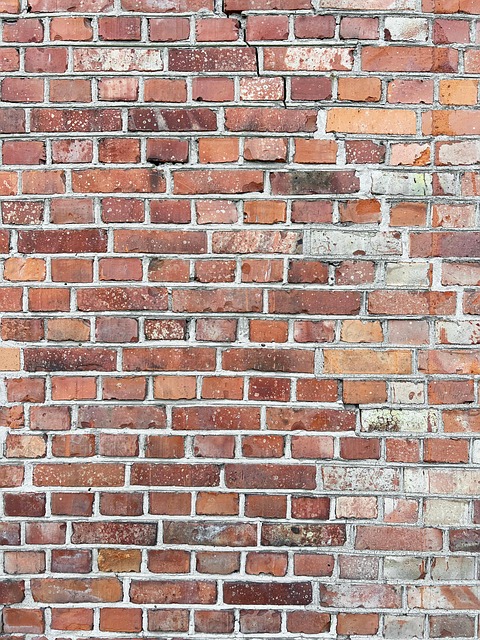 Free Brickwall Bricks photo and picture