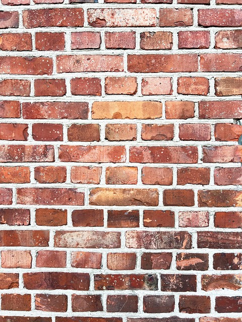 Free Brickwall Bricks photo and picture