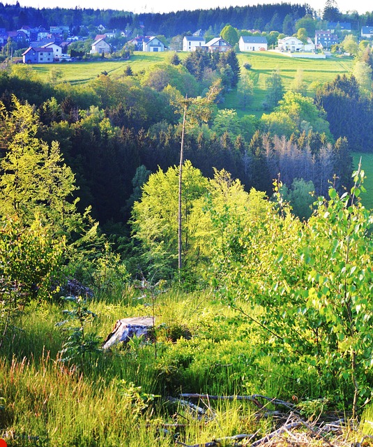 Free Highlands Mountain photo and picture