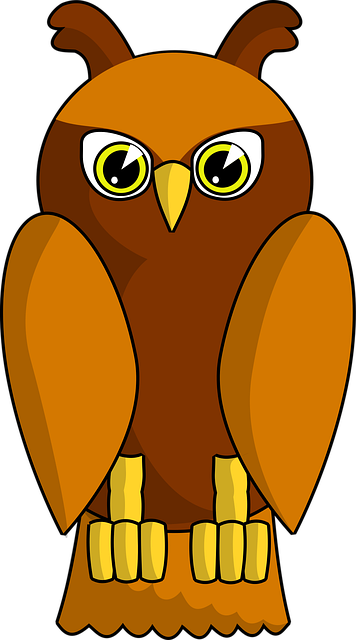 Free Owl Cartoon vector and picture