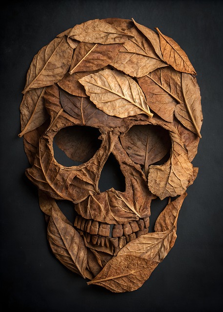 Free ai generated skull skeleton illustration