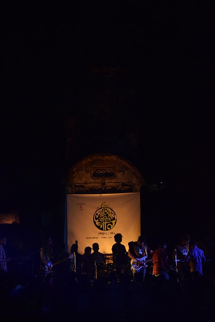 Free Concert Silhouette photo and picture