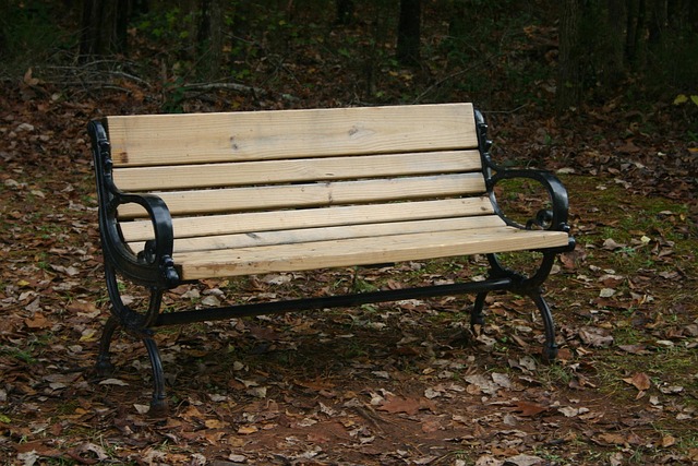 Free Autumn Bench photo and picture