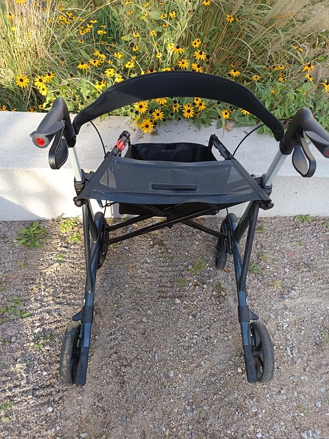 Free Outdoor Rollator photo and picture