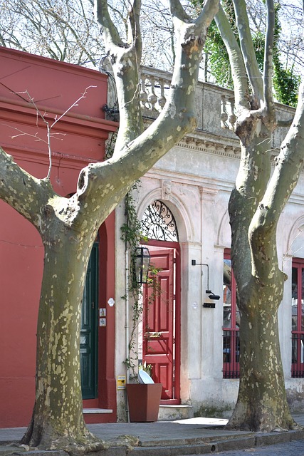 Estilo Colonial, Histórico, Viajar Por