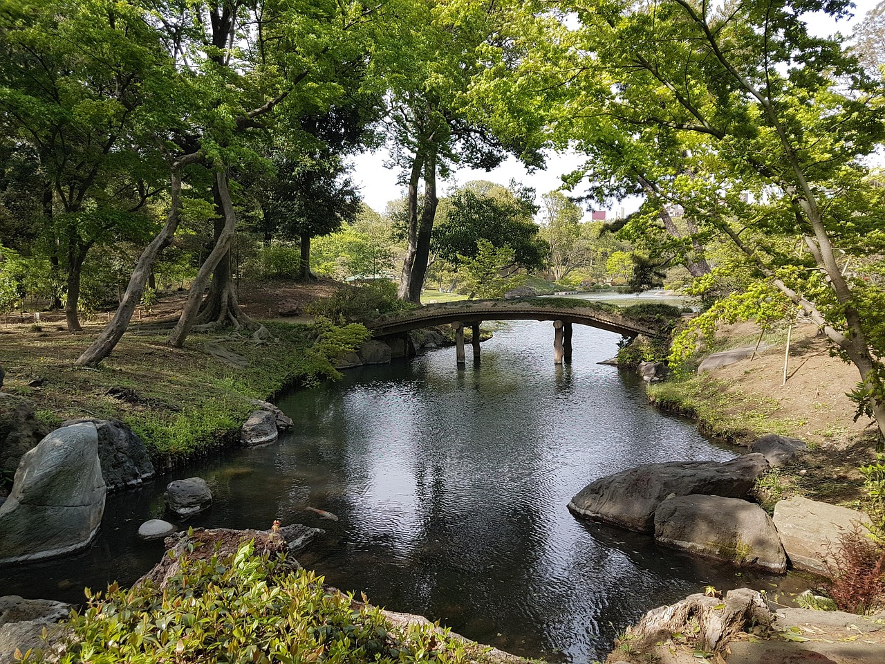 Japani Tokio Lampi Ilmainen Valokuva Pixabayssa