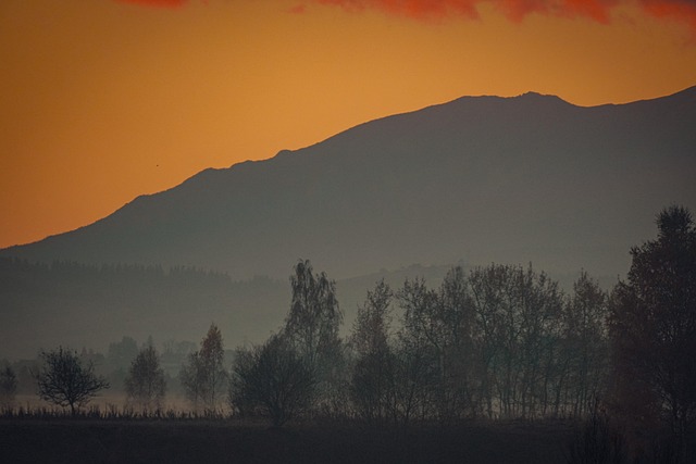 Free In The Morning Nature photo and picture