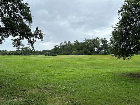 Free Field Grass photo and picture
