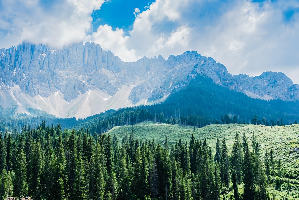 What is Bluesky? The New Social Media Platform Gaining Popularity - News Directory 3
