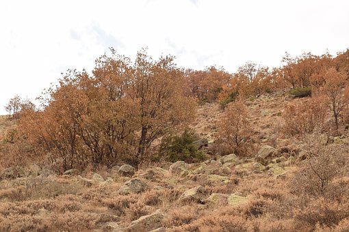 Free Nature View photo and picture