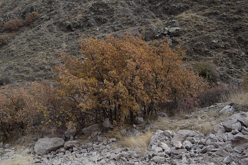 Free Nature View photo and picture