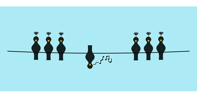 Pássaros, Animal, Linha, Minimalismo