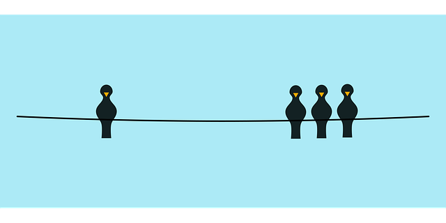 Pássaros, Animal, Linha, Minimalismo