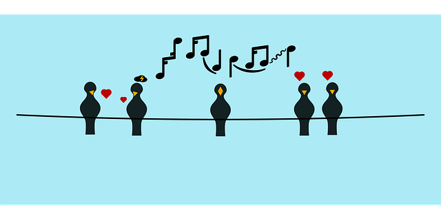Free birds animal line illustration