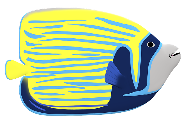 Free fish angelfish animal illustration
