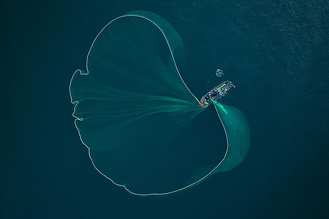 Free Unmanned Aircraft Fishing Wallet photo and picture